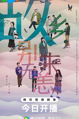 网站充值优化收费标准